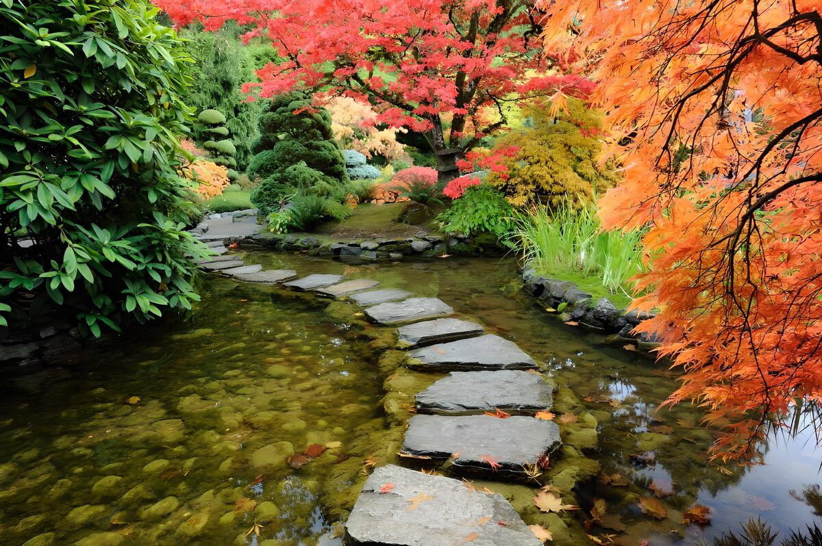 Kleurrijk Japanse tuinpad