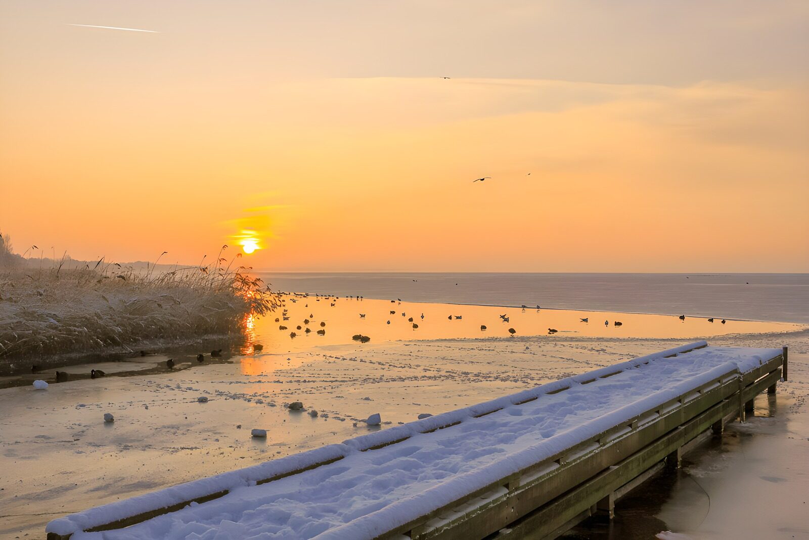 CW8903260: Zonsopgang boven bevroren water