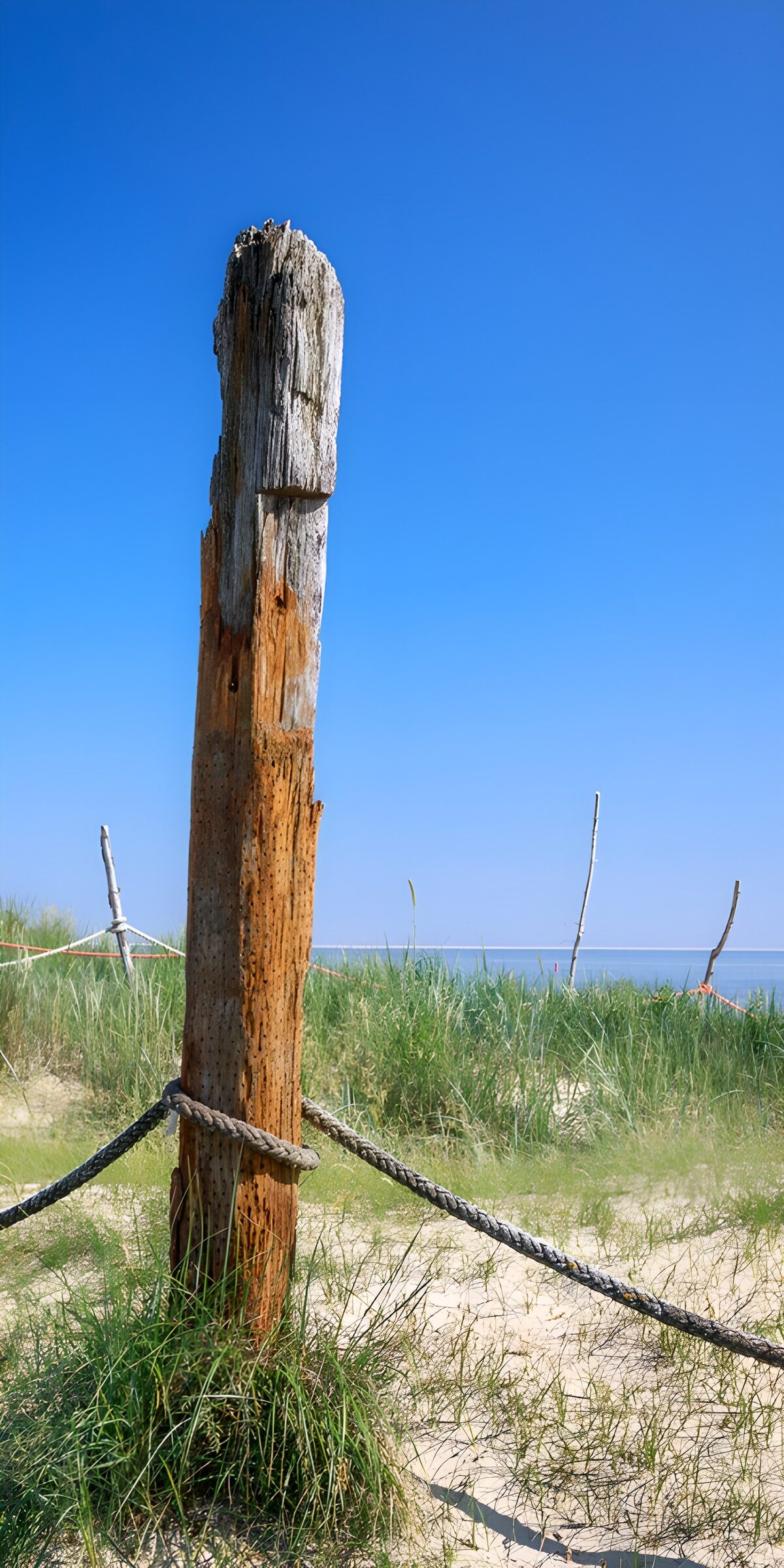 CW1601403: Verweerd paal bij het strand