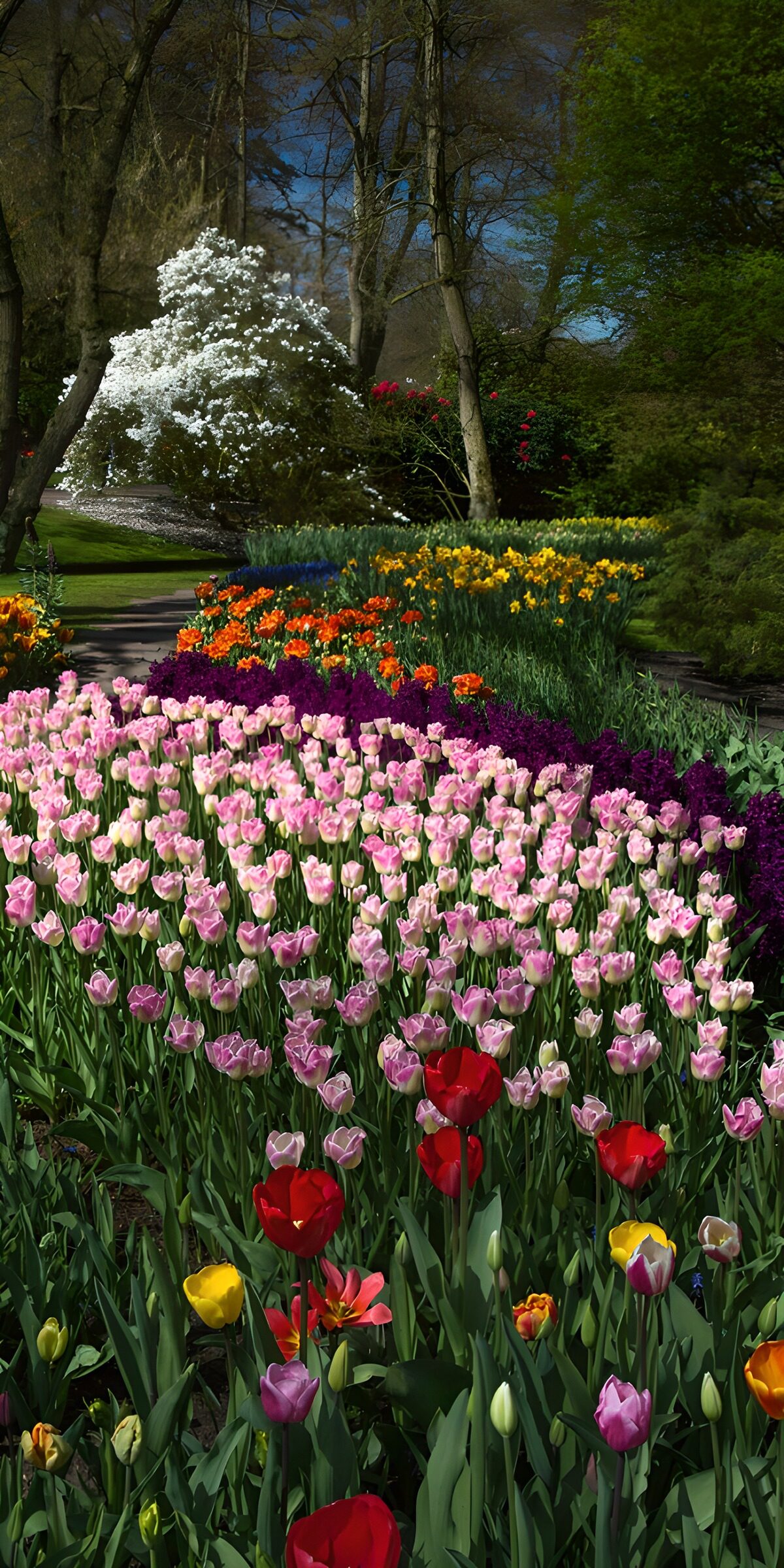 CW8031192: Kleurrijke bloementuin in het voorjaar