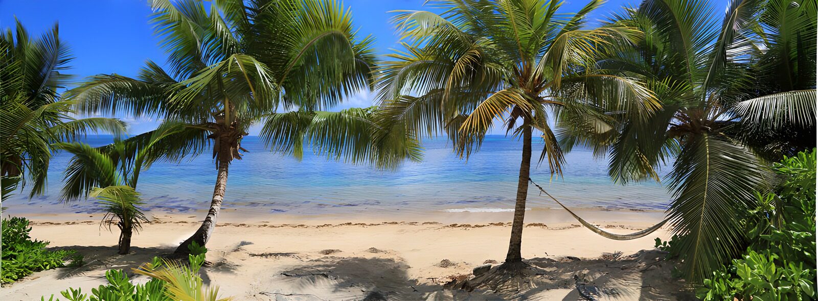CW8051974: Tropisch strand met palmbomen