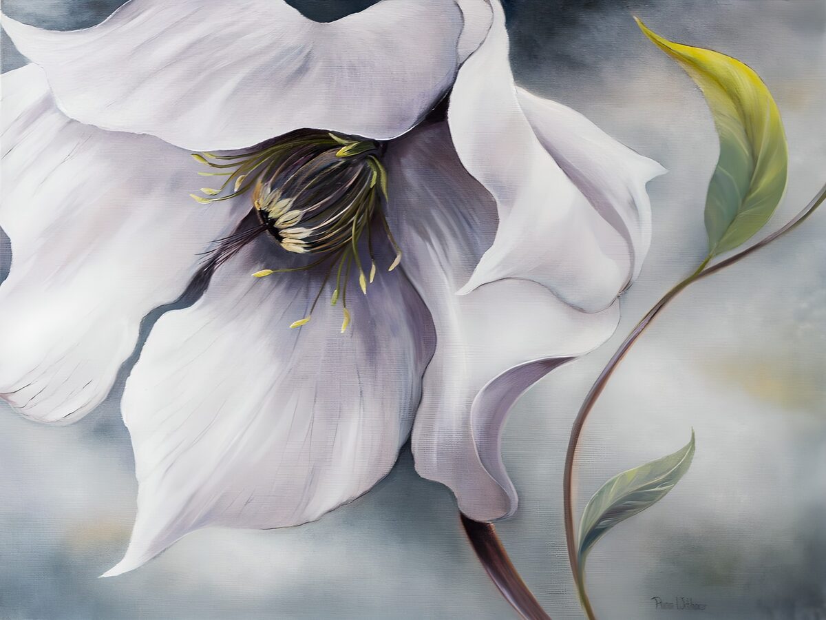 Witte bloem tegen een zachte achtergrond
