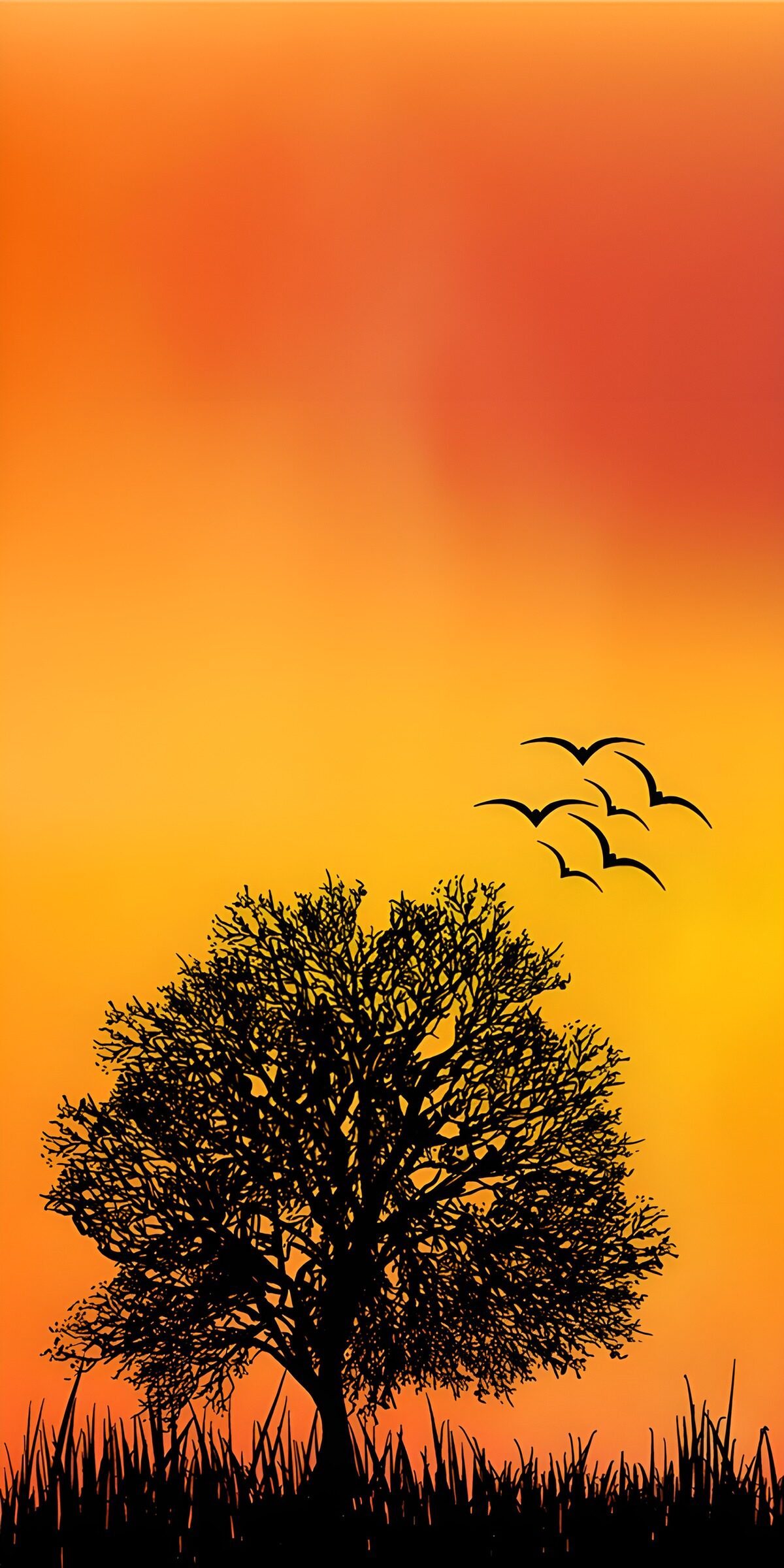 CW4912949: Zonsopgang achter een silhouet van een boom
