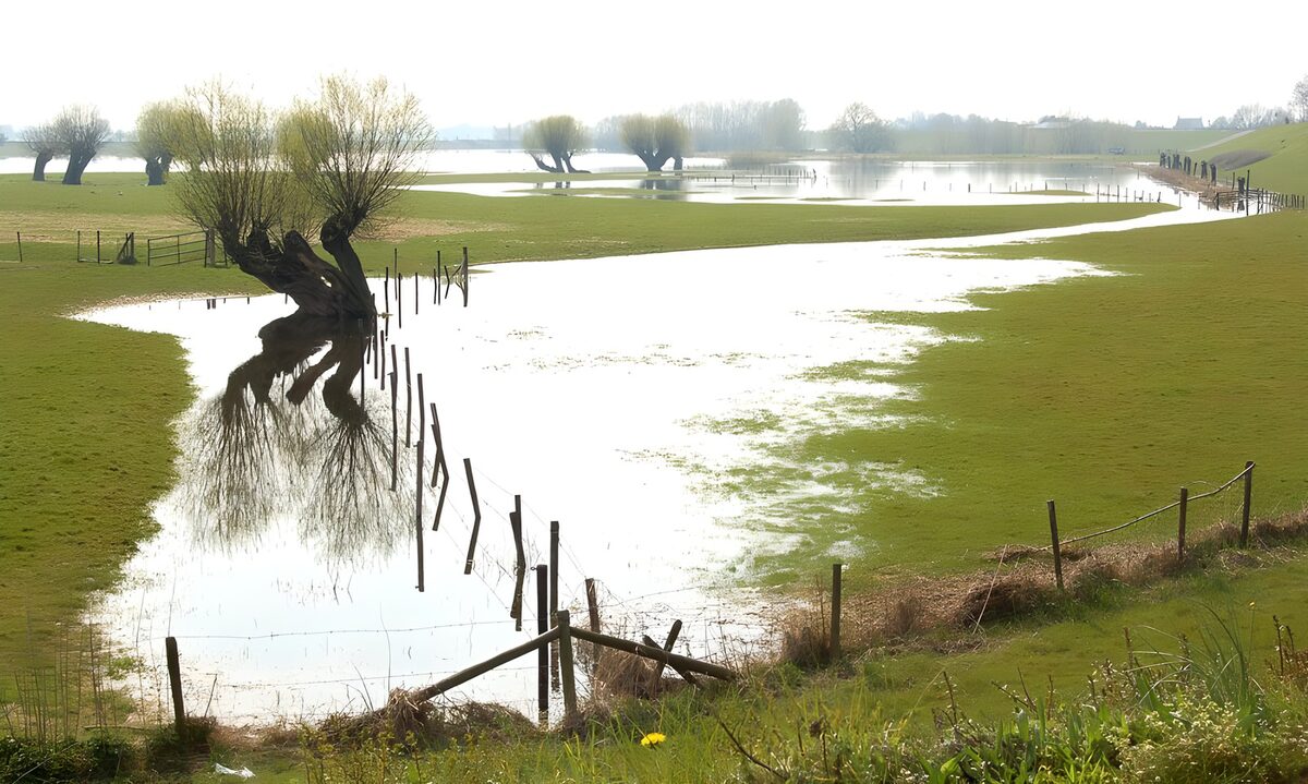 Rustige landbouwomgeving met water