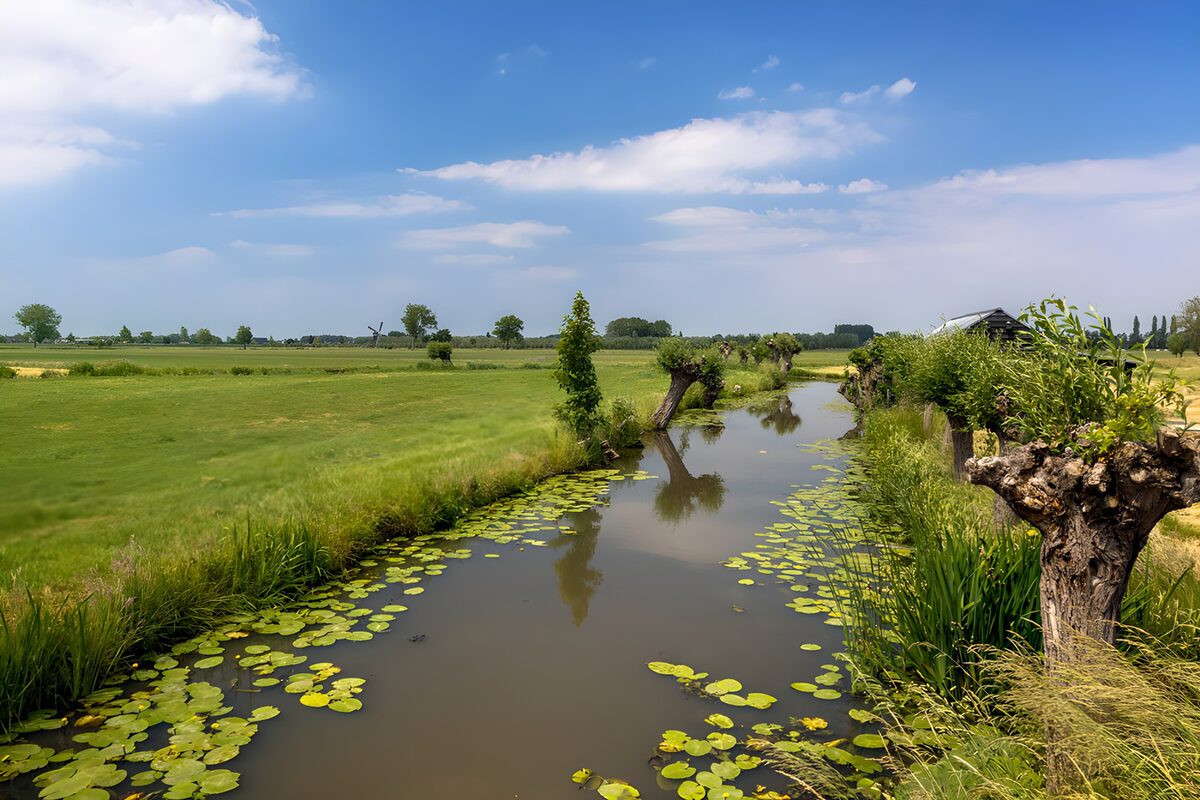 Lentezicht langs de waterkant