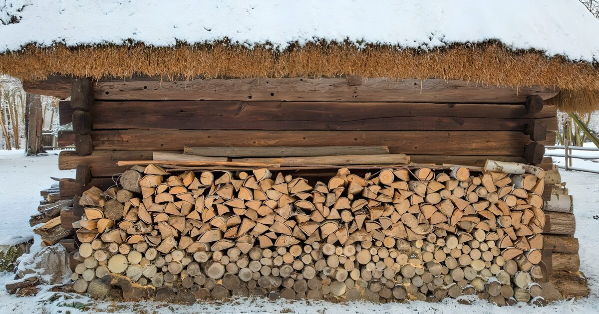 Houthok onder een sneeuwbedekking