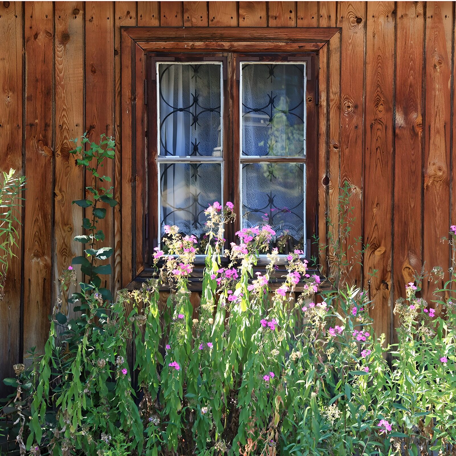 CW4125559: Een venster met bloemen in de tuin