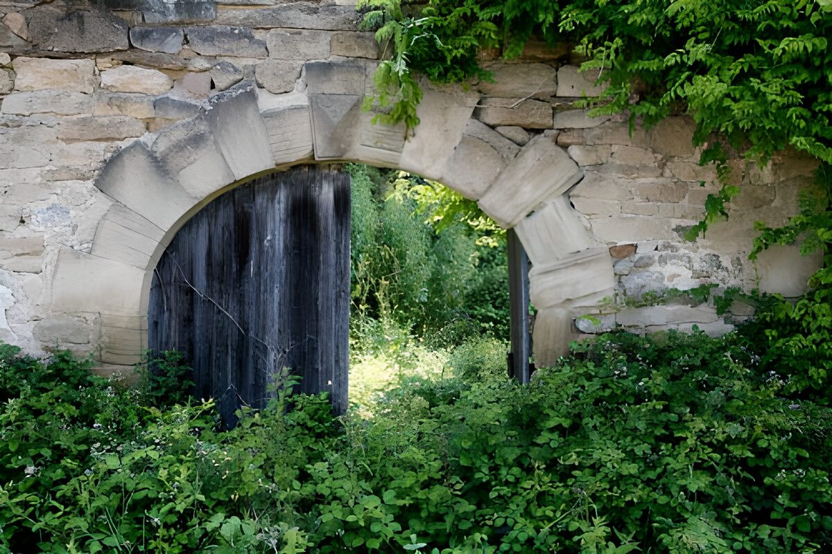 Oude poort met groene begroeiing