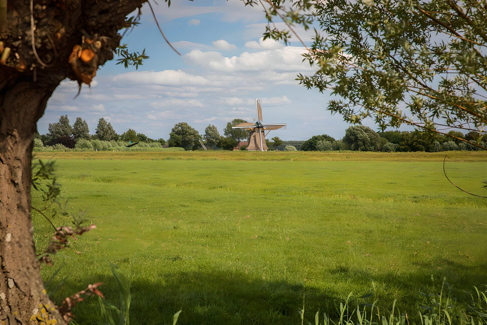 CW1393267: Molens in het Groene Landschap