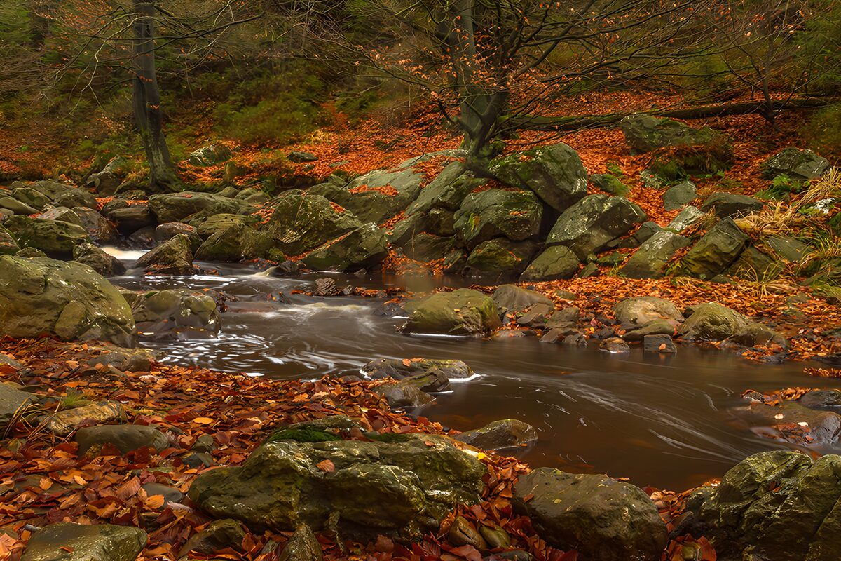 Betoverende stroom in herfstlandschap