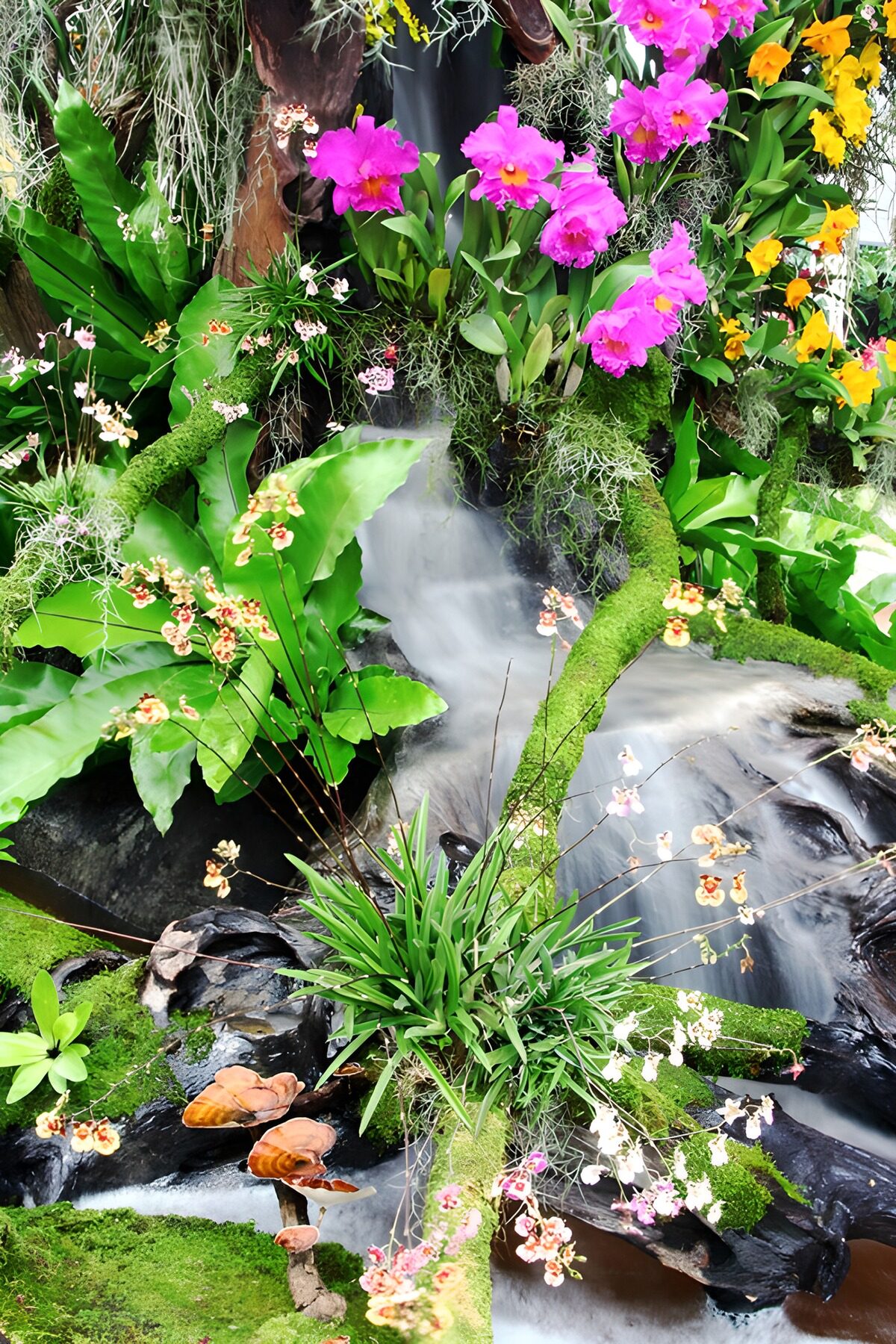 Waterval in het Tropisch Paradijs
