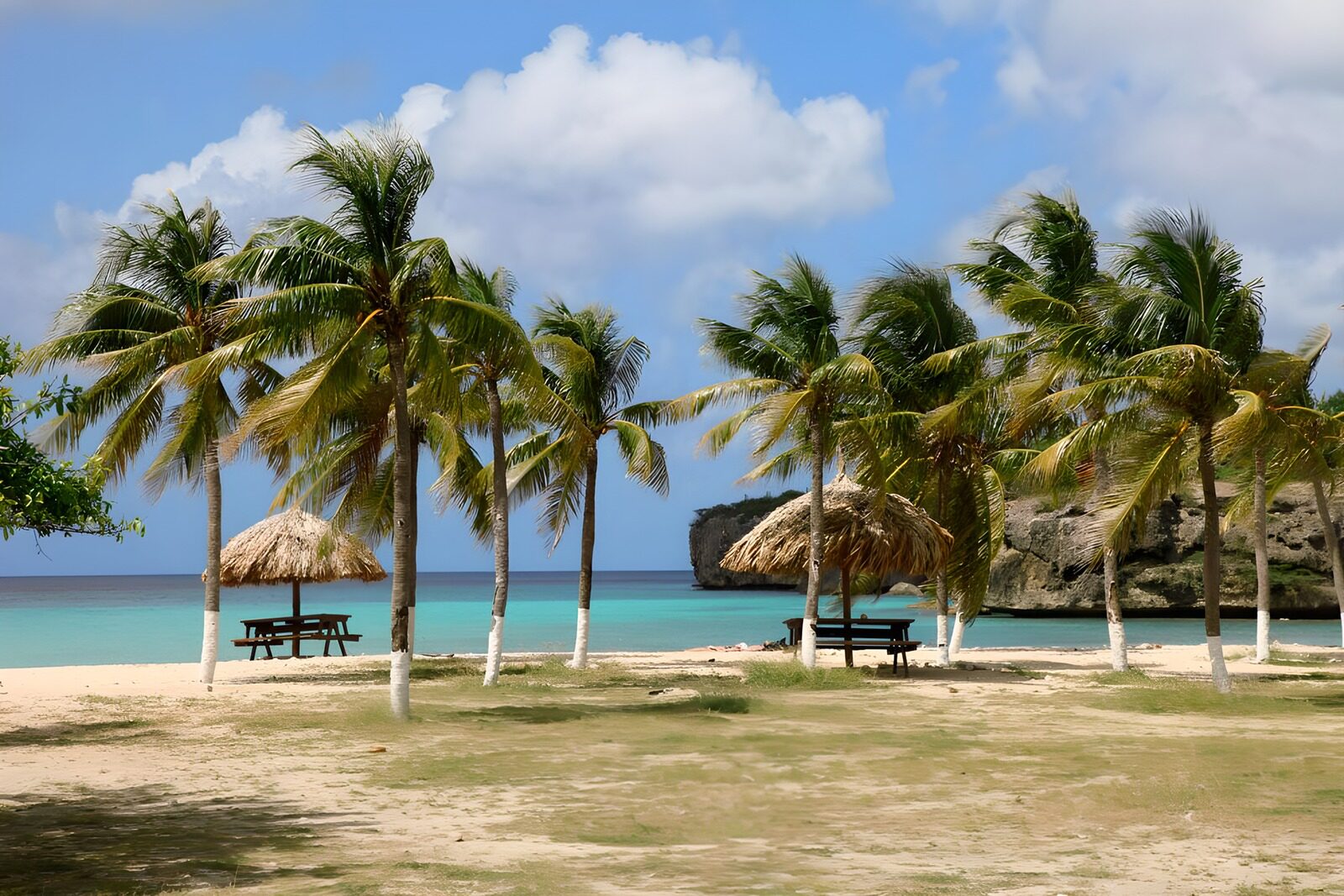CW9993972: Tropisch Strand met Palmbomen