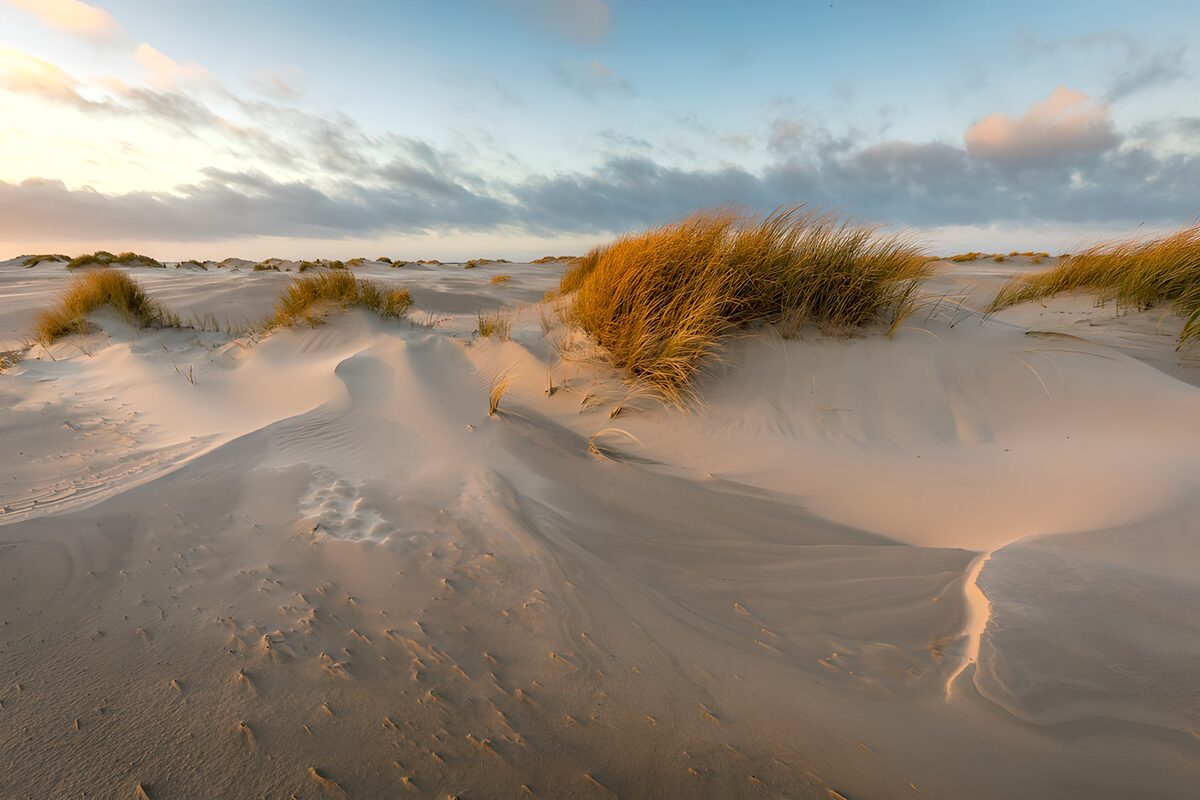 Zanderige Duinen bij Zonsondergang