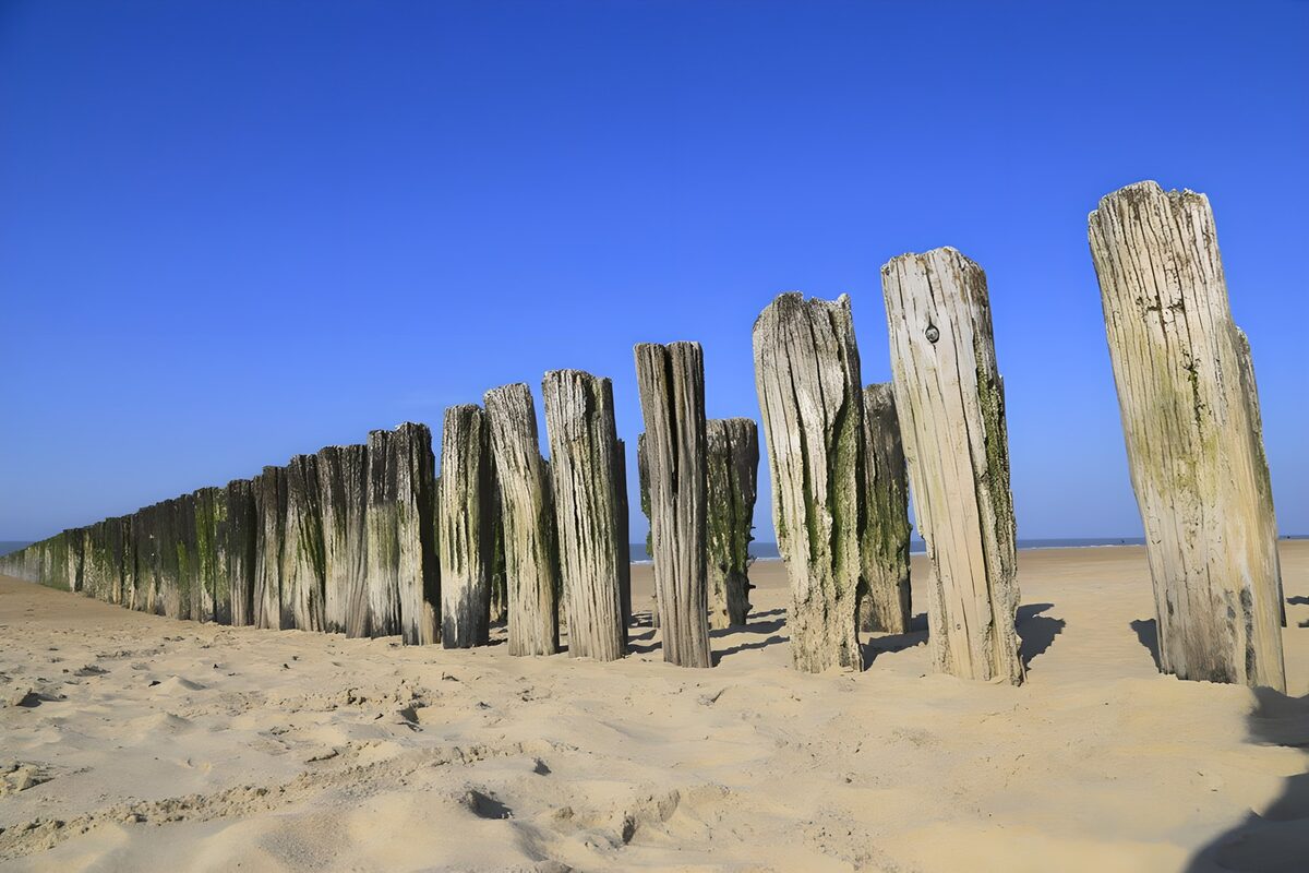 Strand met houten palen tegen de zee