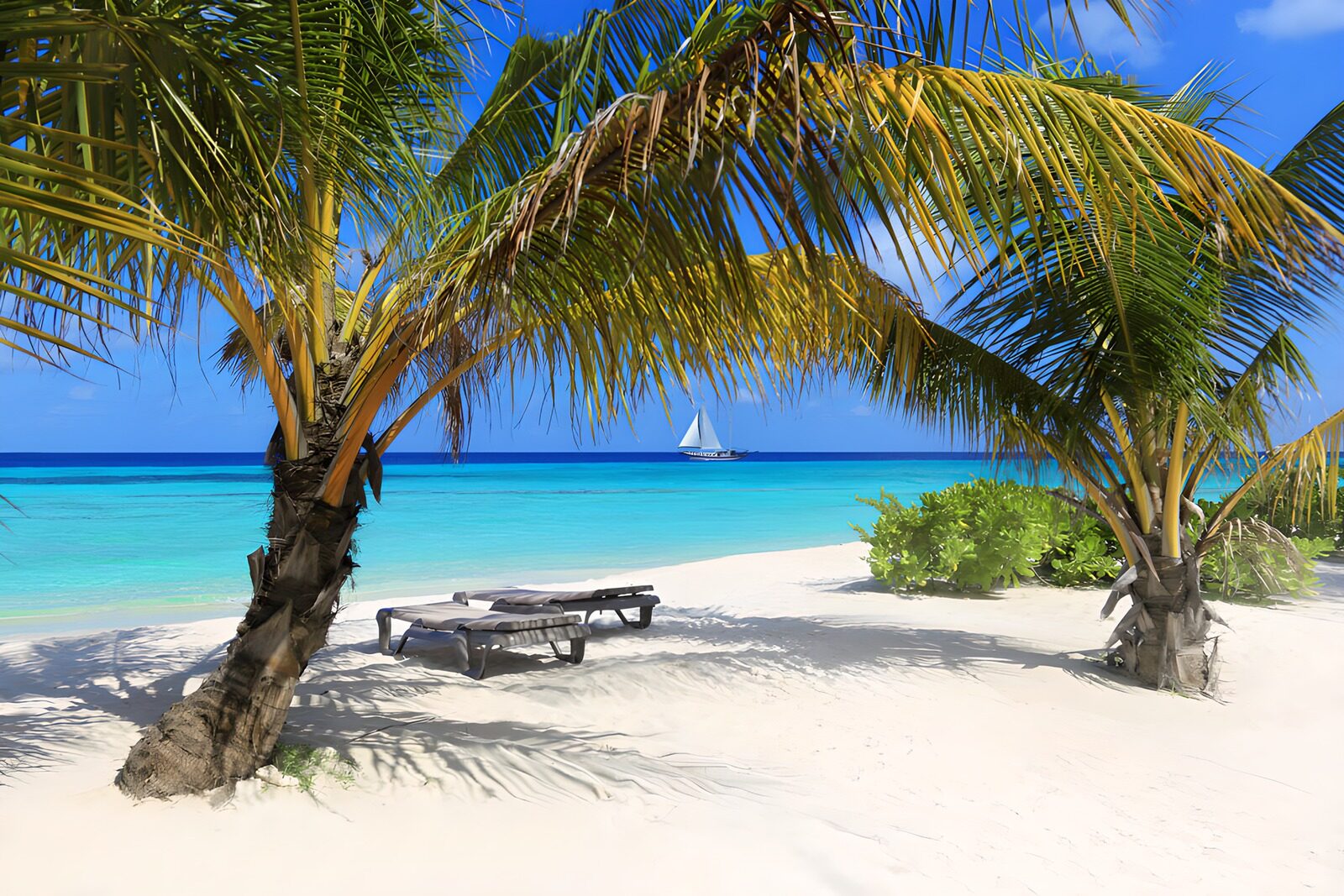 CW8612529: Tropisch paradijs met palmbomen