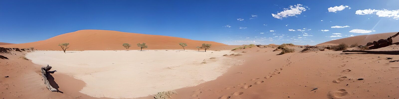 CW4866215: Woestijnlandschap met acaciabomen
