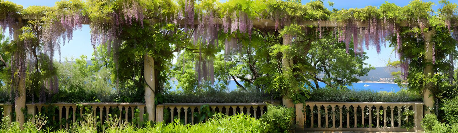 CW7848693: Prachtig uitzicht met bloeiende wisteria