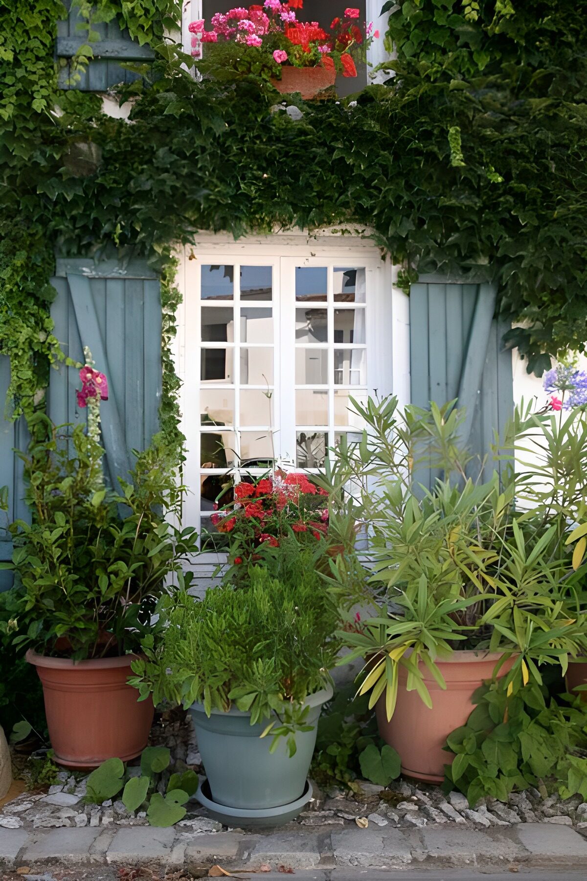 Groene Tuin bij een Charmant Raam