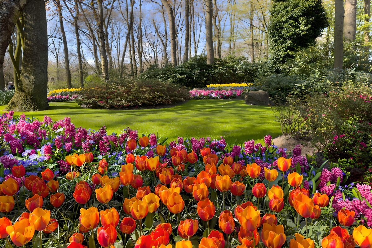 Kleurrijke Bloementuin in het Lentezonnetje