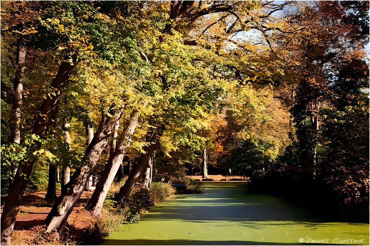 Herfst in het Groene Water
