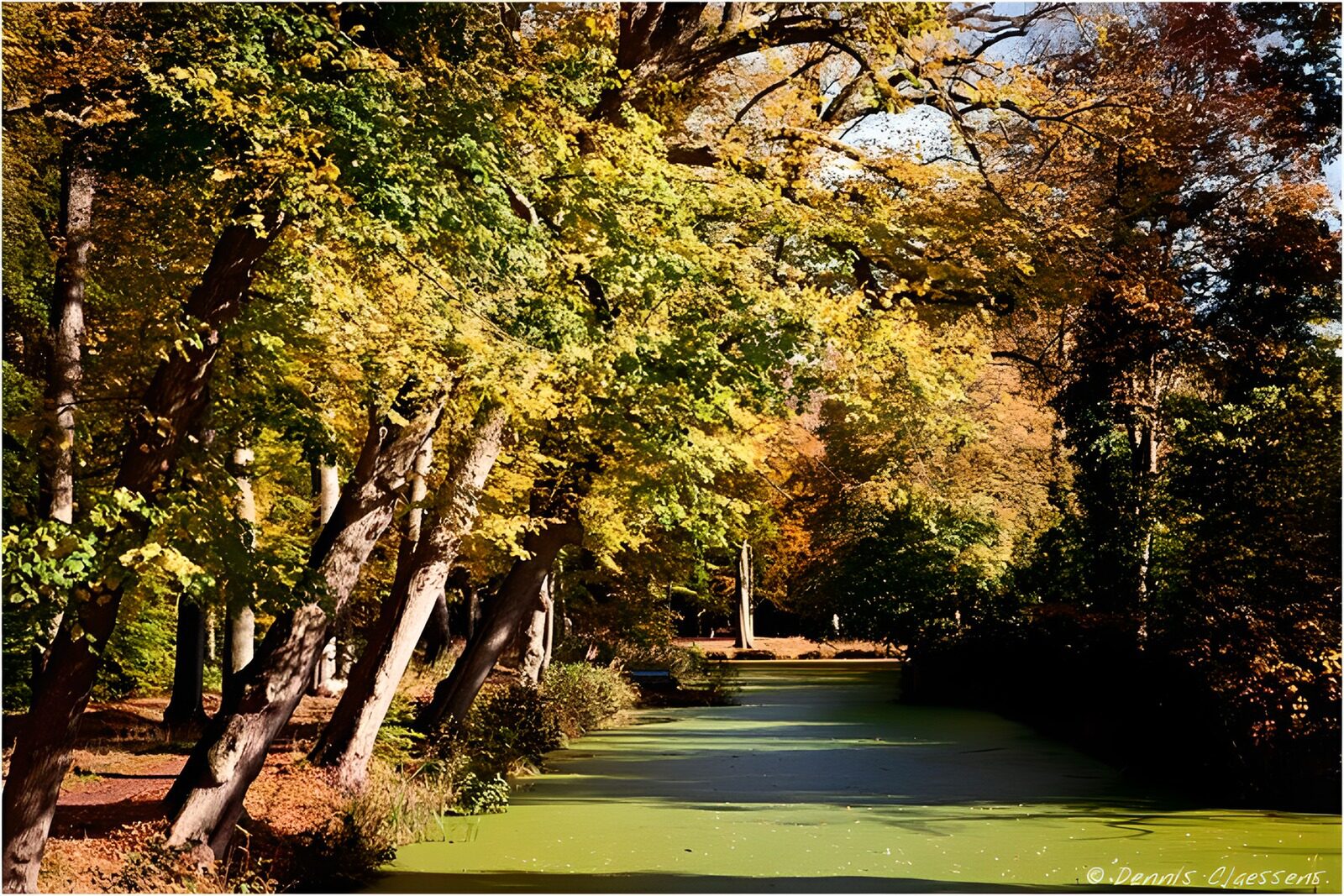 CW8610798: Herfst in het Groene Water