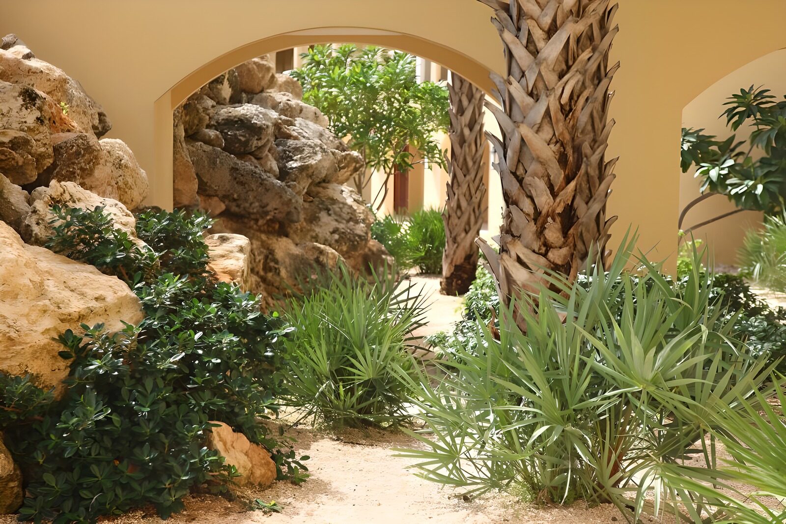 CW1136833: Rustige tuin met palmbomen en stenen