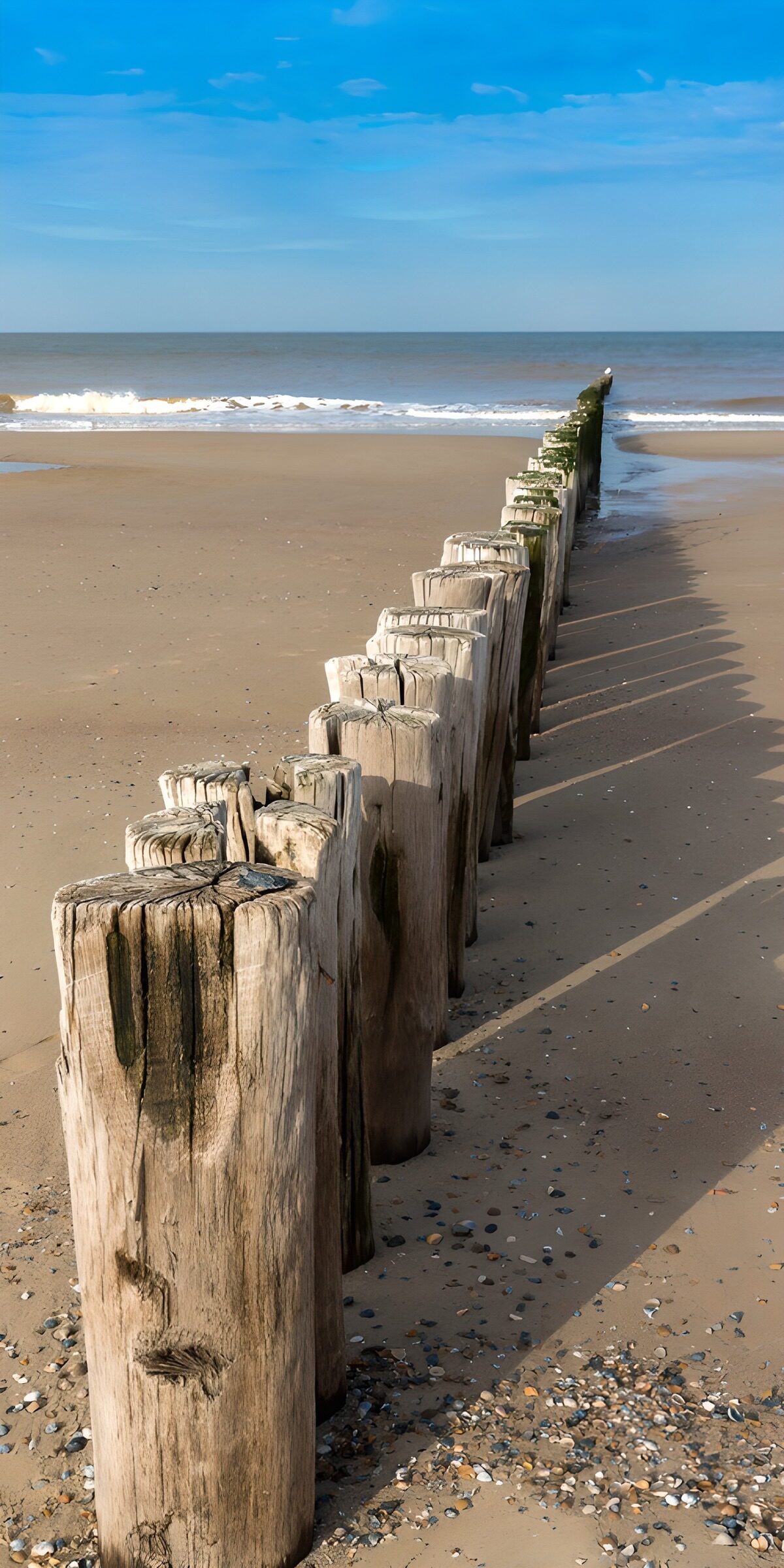 CW5214074: Houten palen langs het strand