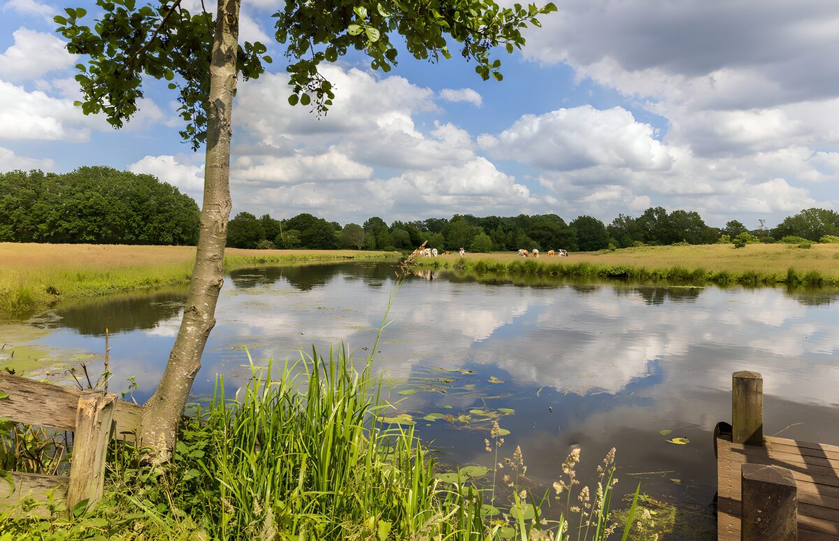 Rustige oever bij een spiegelend water