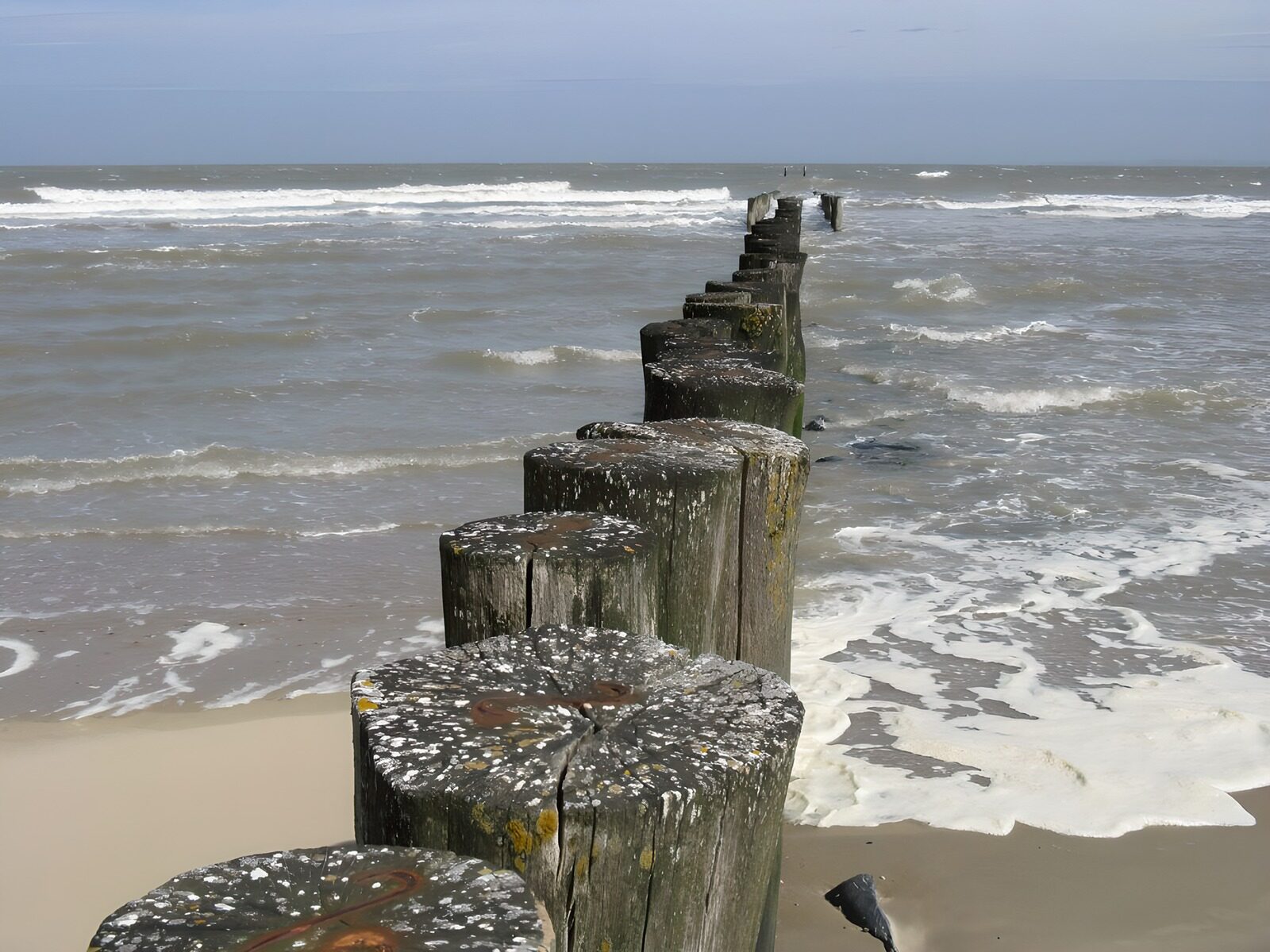 CW4691819: Verwaaid steigerpad aan de kust