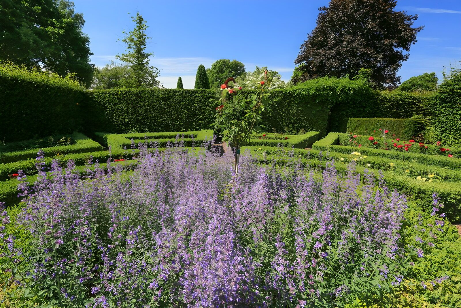 CW3706270: Kleurrijke tuin in volle bloei