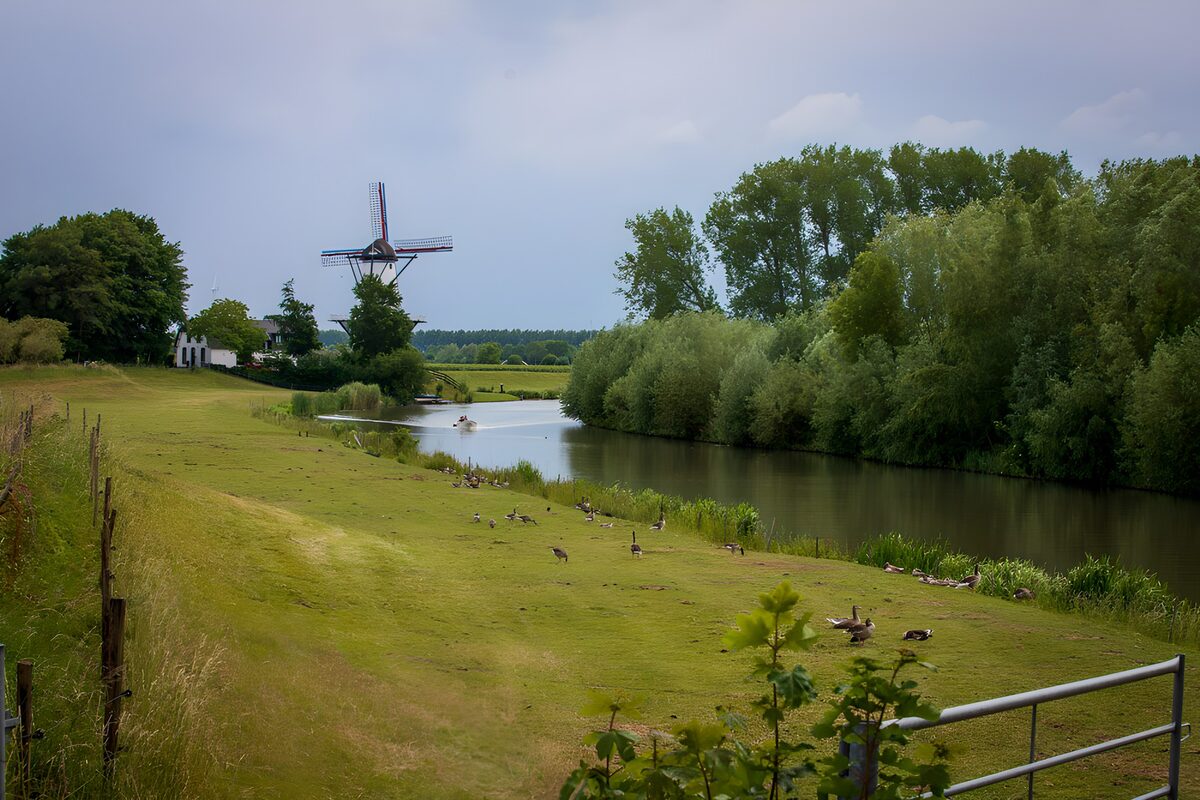 CW5178106: Molentje bij de rivier