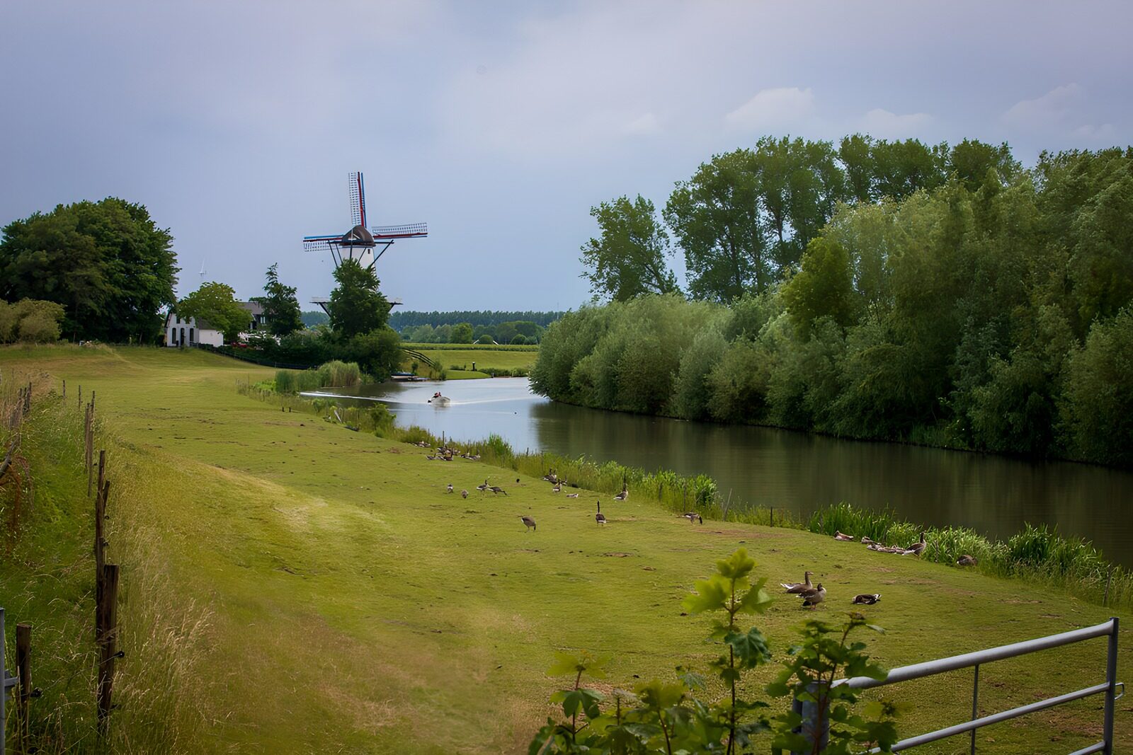 CW5178106: Molentje bij de rivier