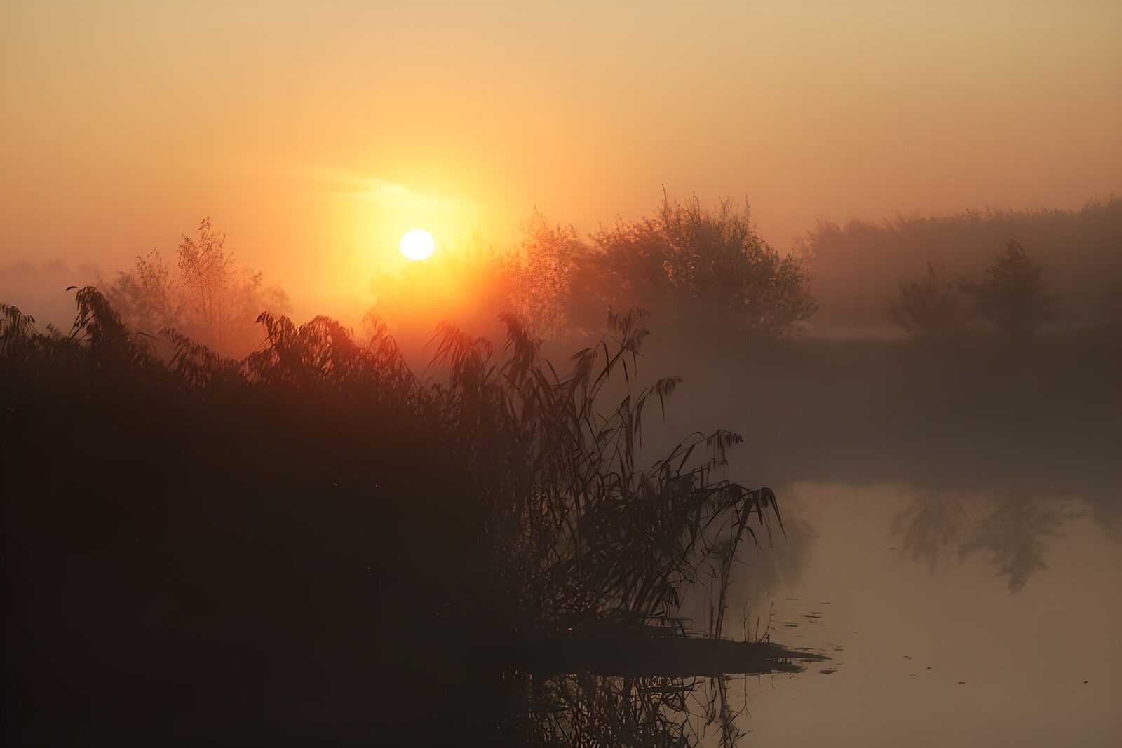CW2412531: Zonsopgang boven mistig water