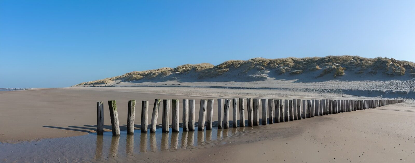 CW3813697: Strand met houten palen en duinen