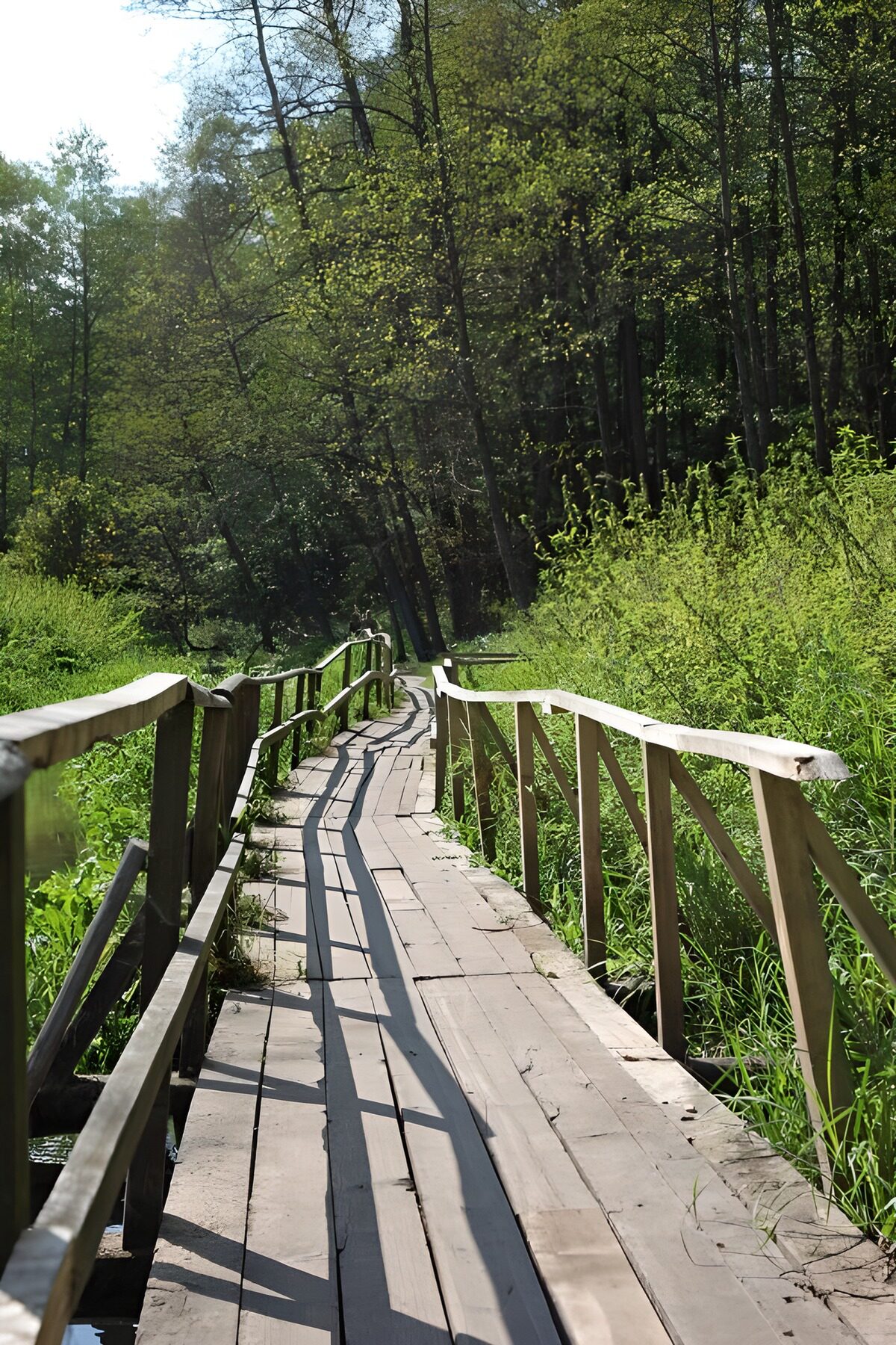Maak een wandeling over het houten pad