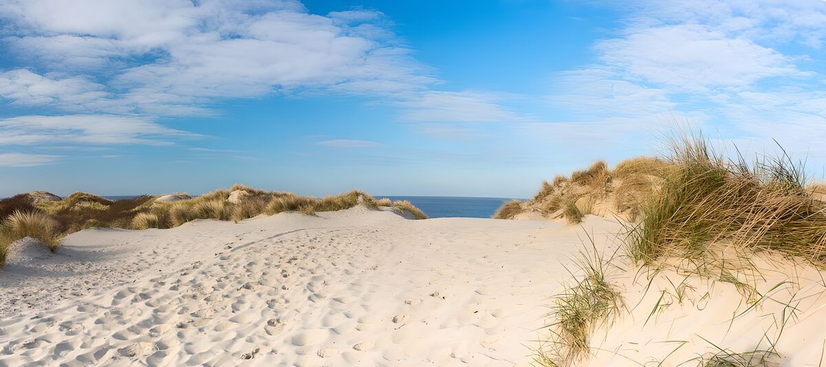 Zandduinen bij de Zee