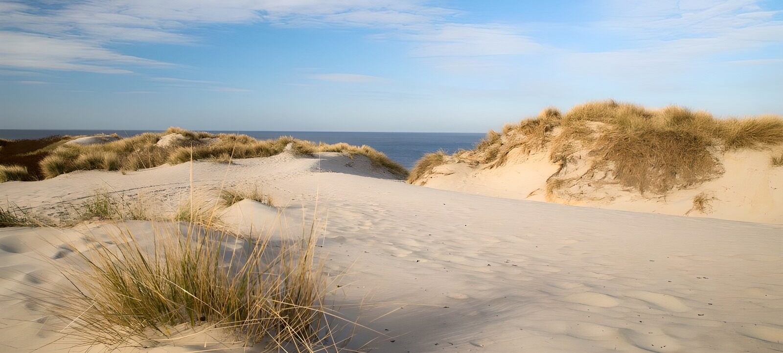 CW6040663: Rustige duinen aan zee