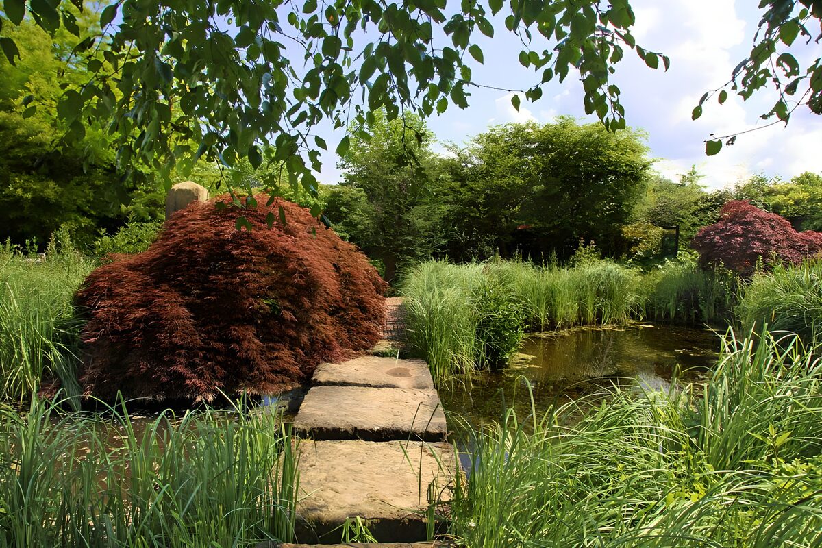 CW6766393: Rustige tuin met water en planten