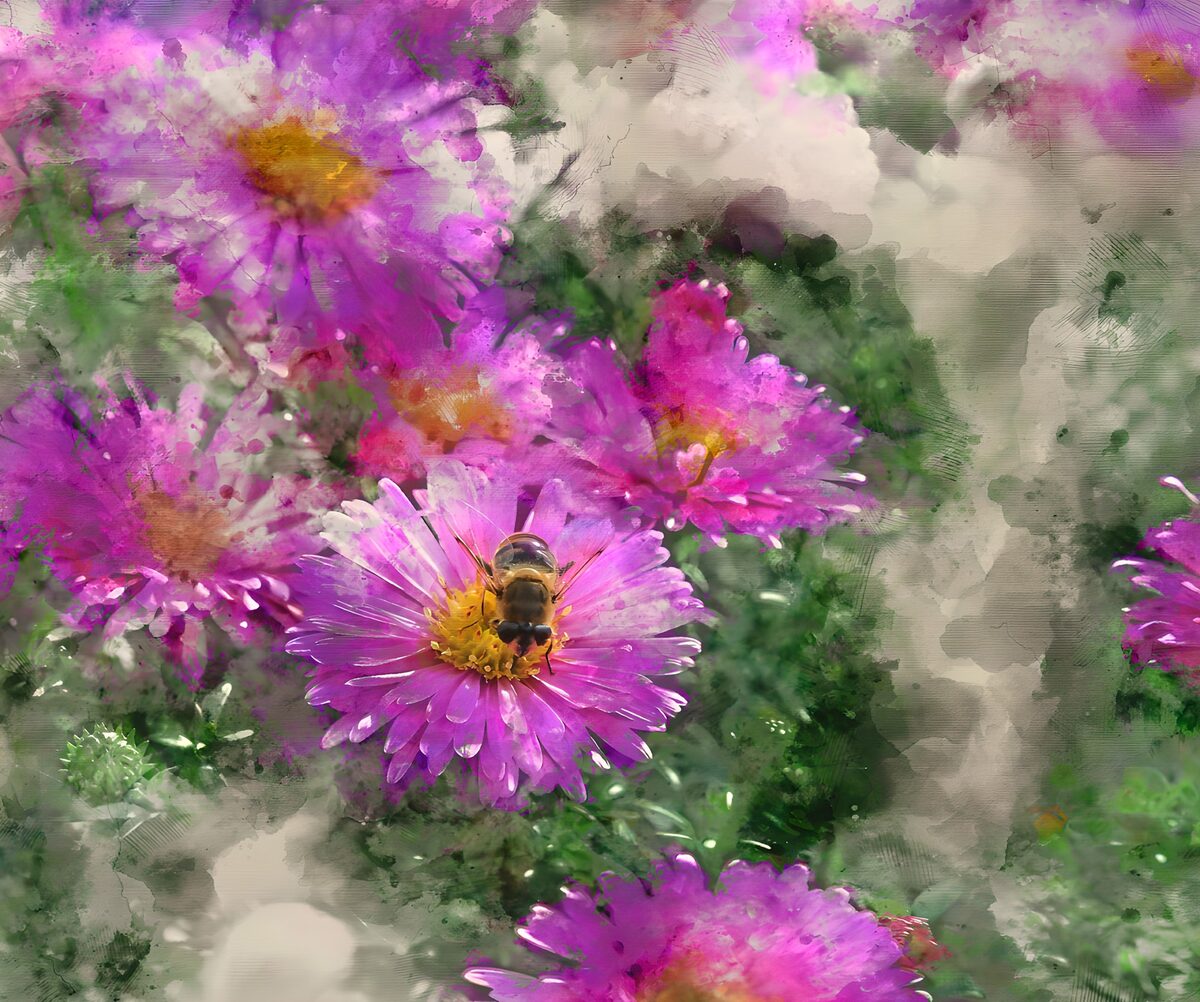 Bijen op kleurrijke bloemen