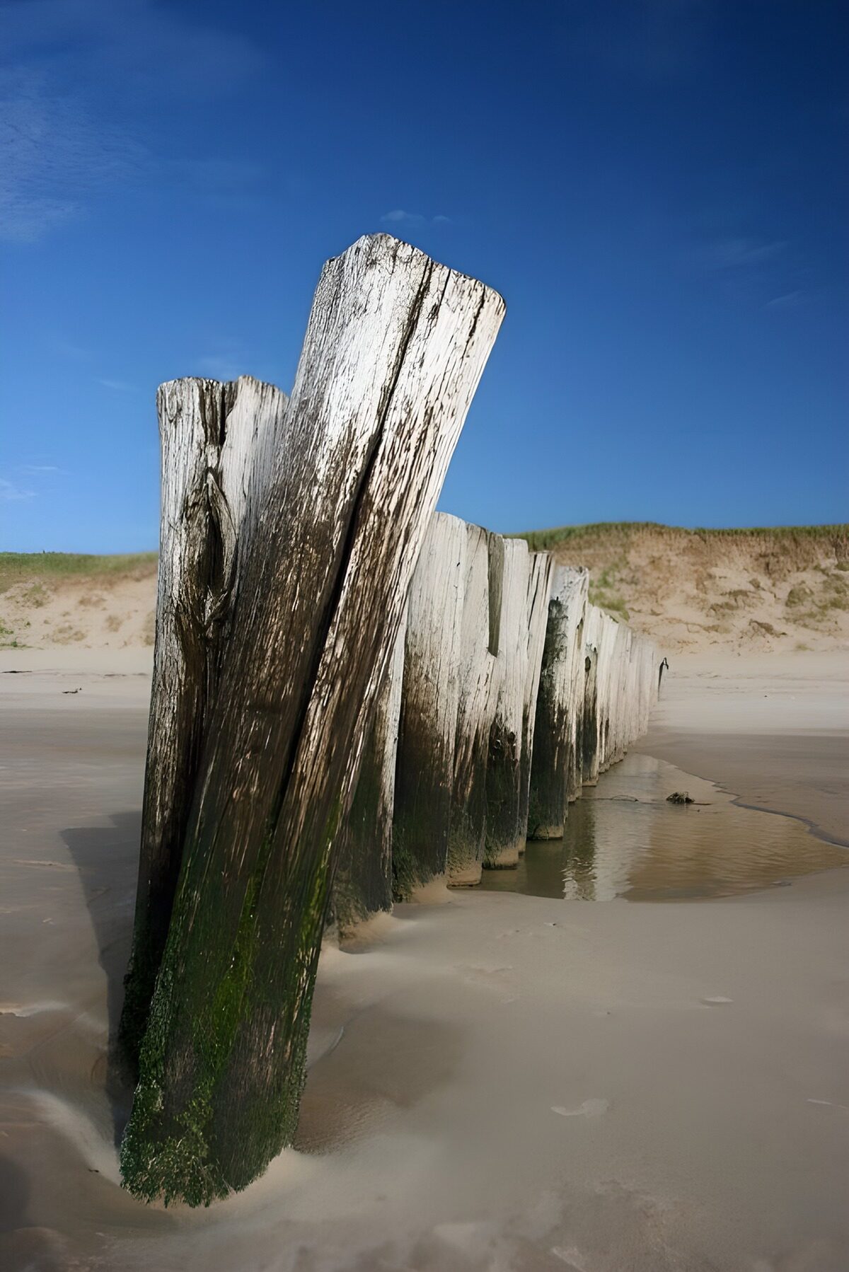 CW7966687: Verweerde palen aan het strand