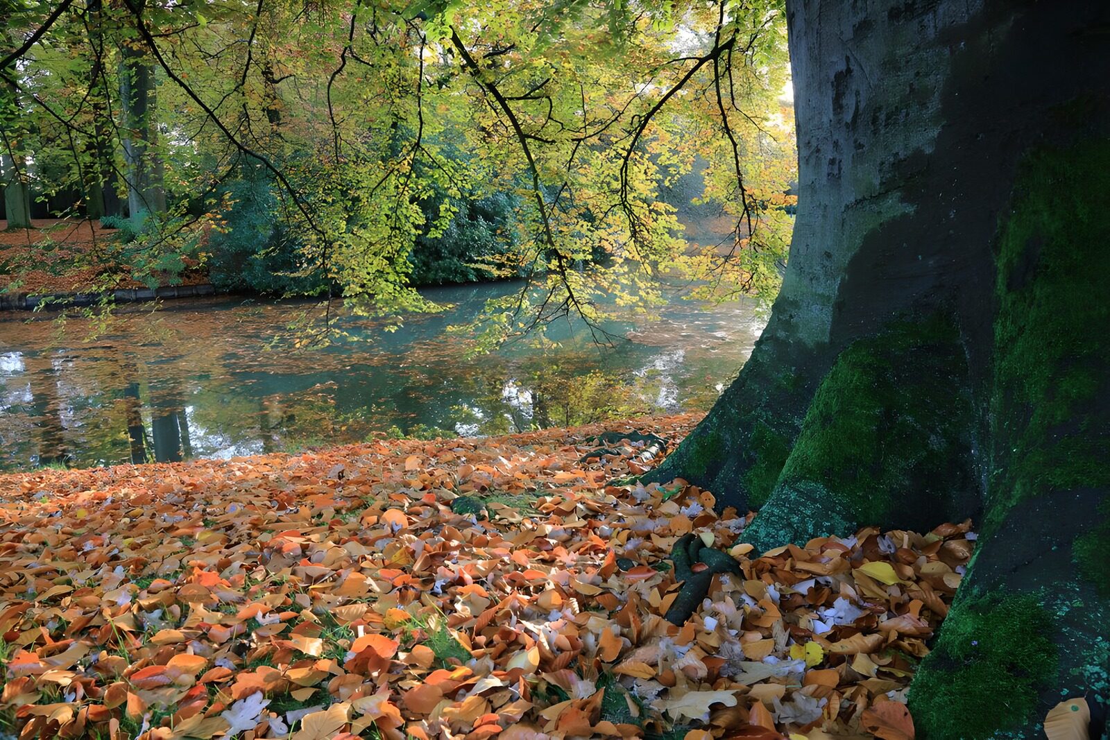 CW7583581: Herfstlandschap bij het water