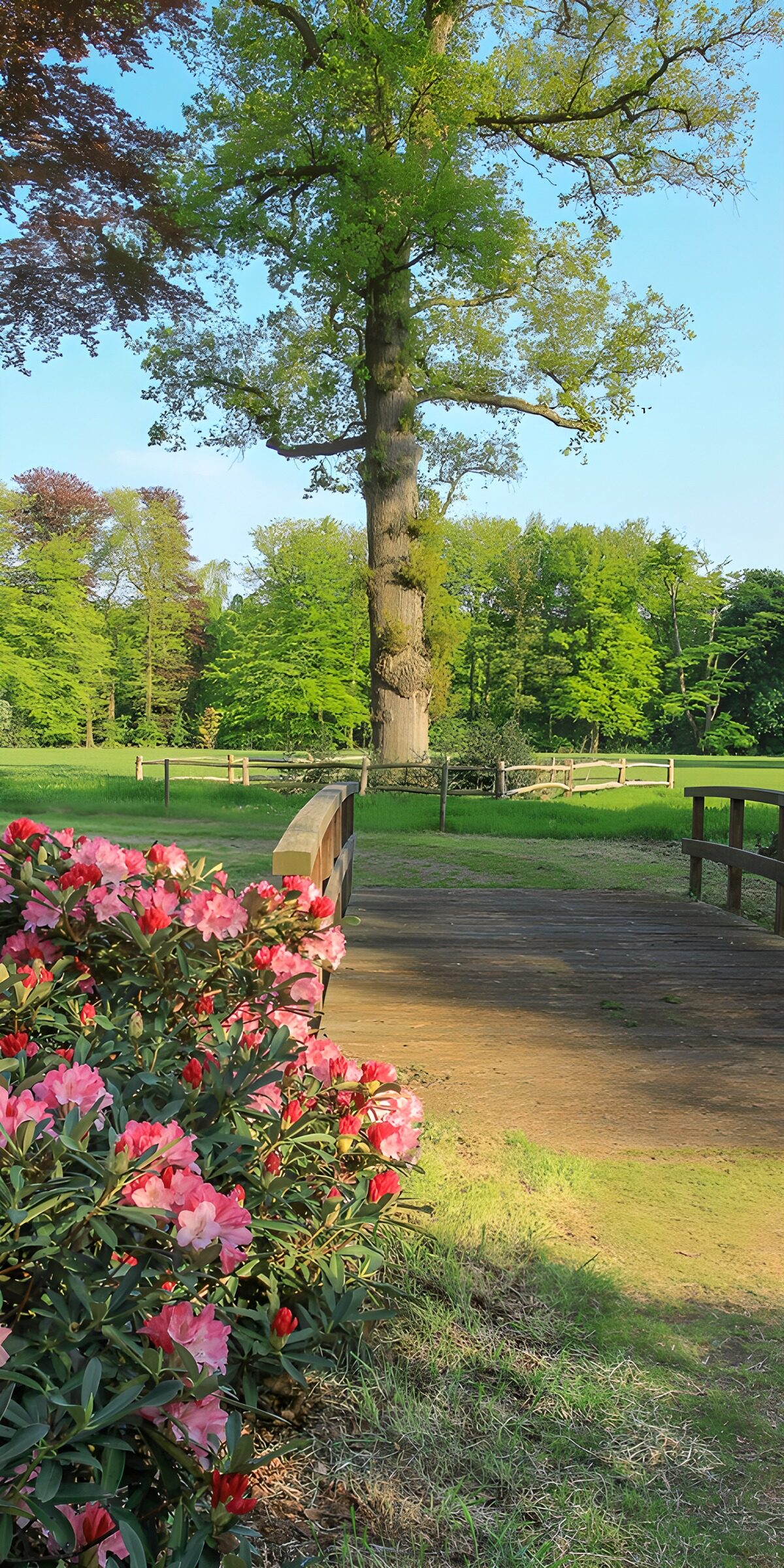 CW2108351: Rustige Lente in het Park