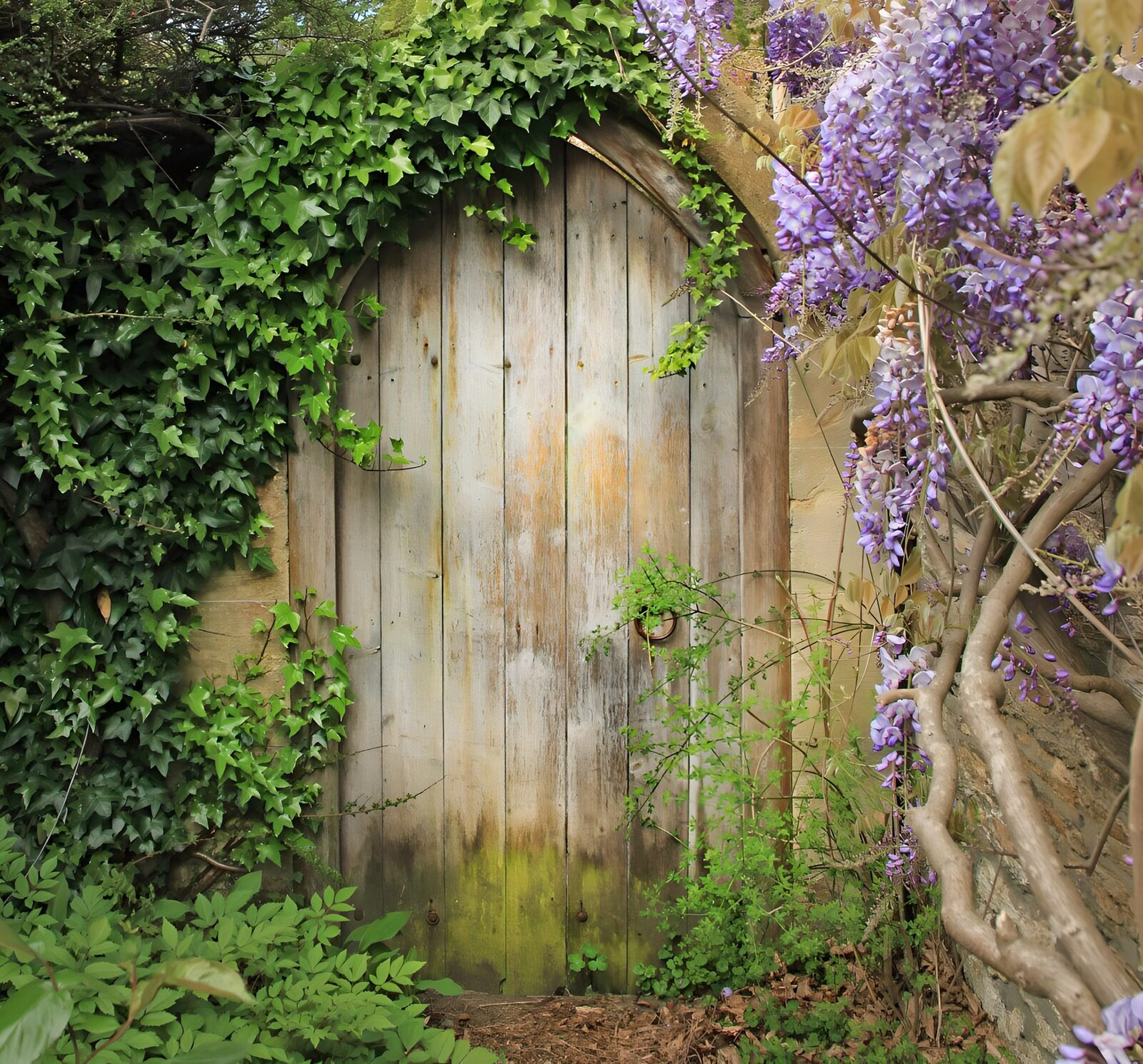 CW7012082: Oude deur omgeven door groen