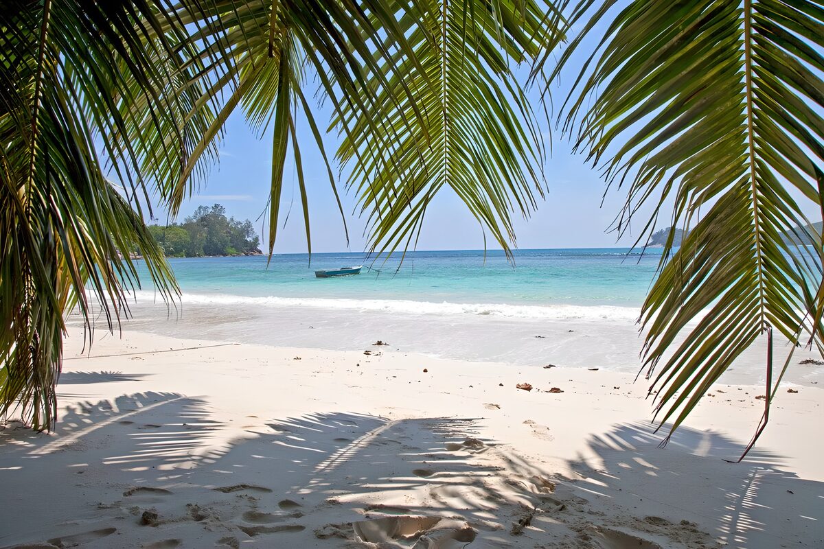 Tropisch paradijs met palmbomen