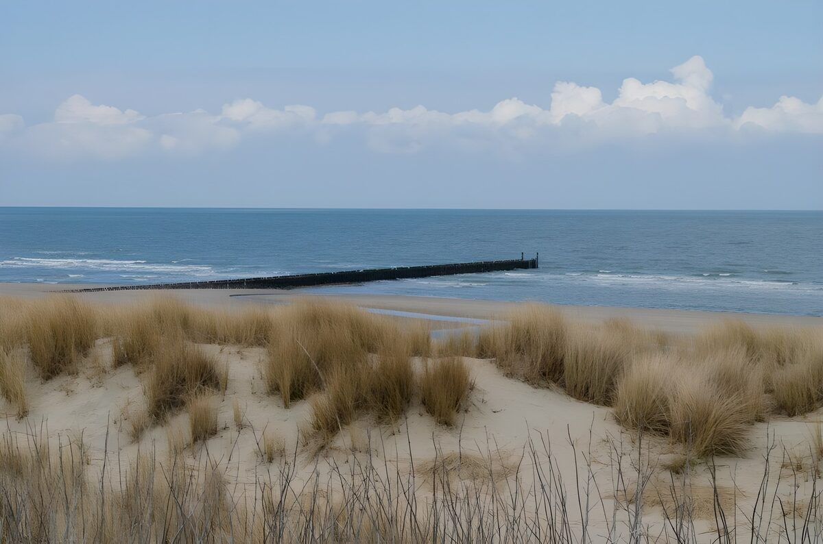 Rustig strand met duinen en zee
