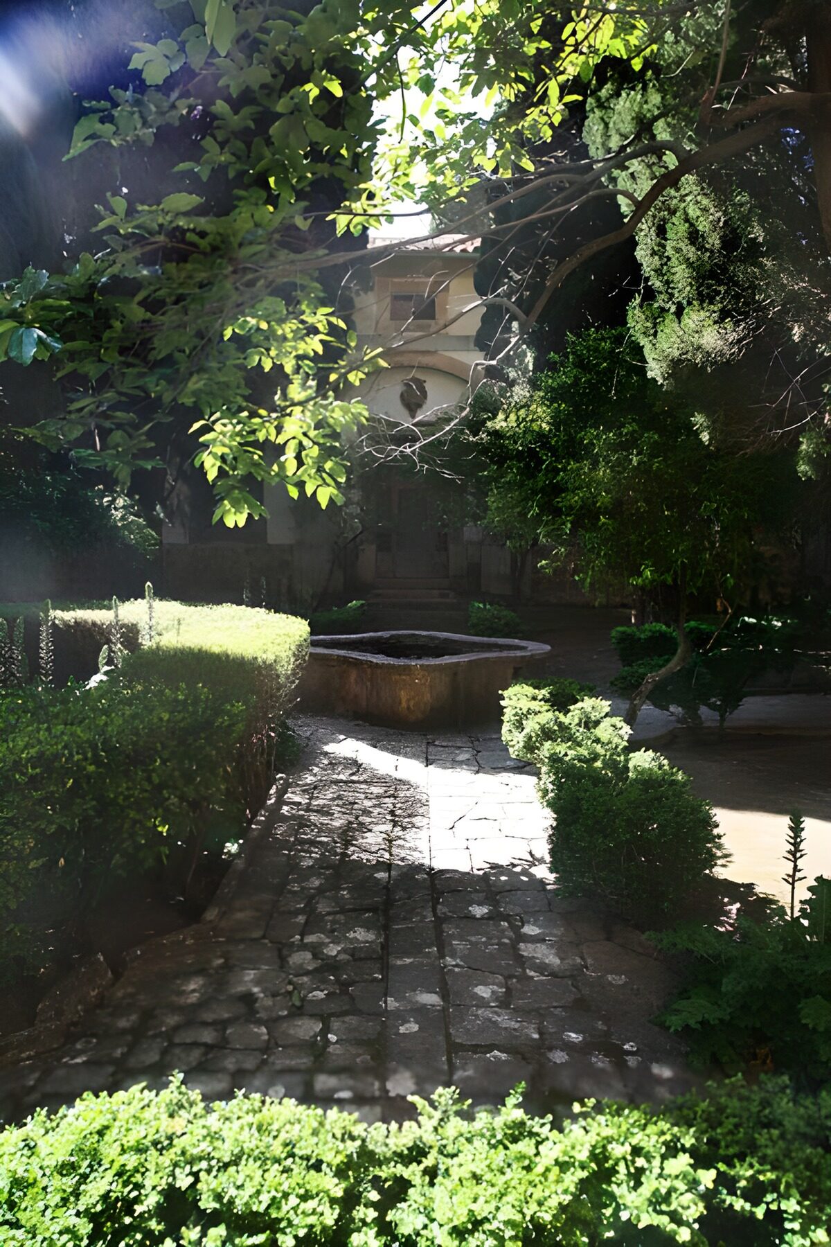 Rustige tuin met fontein