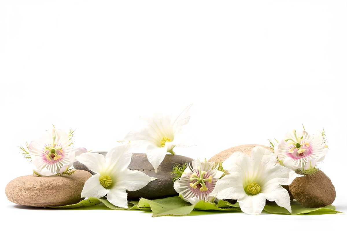 Bloemen en stenen op een witte achtergrond