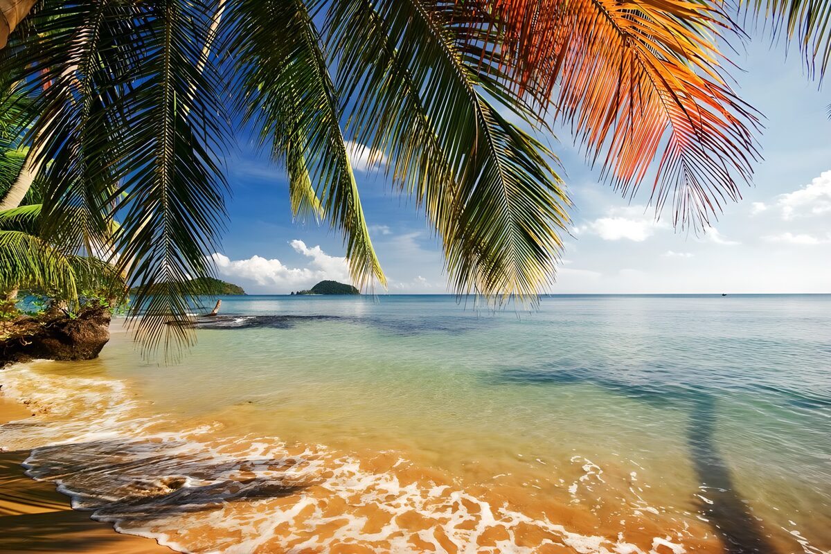 CW5253938: Tropisch strand met palmbomen
