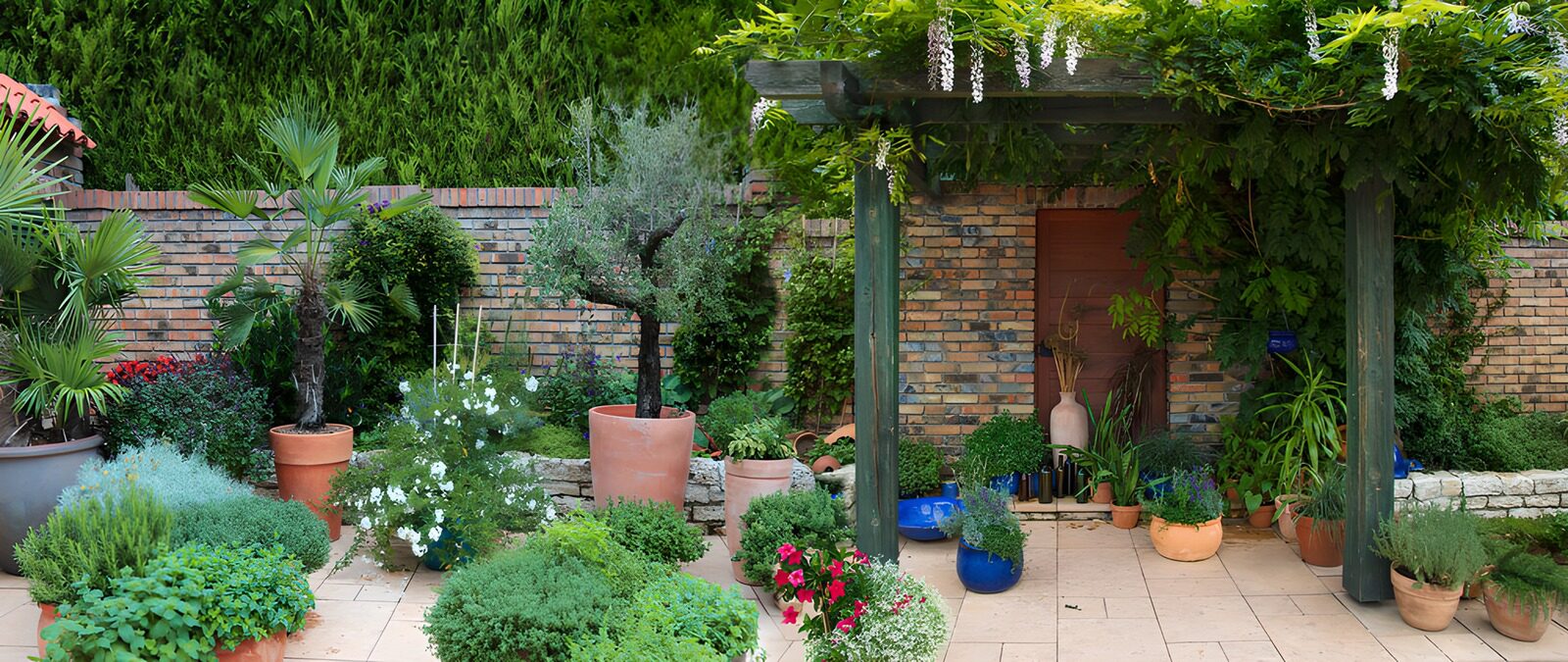 CW1540915: Weelderige tuin met planten en potten