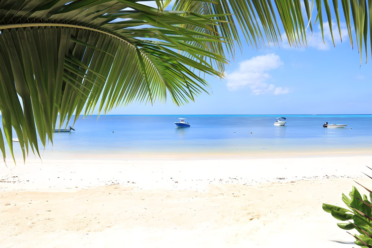 Tropisch Strand met Bootjes